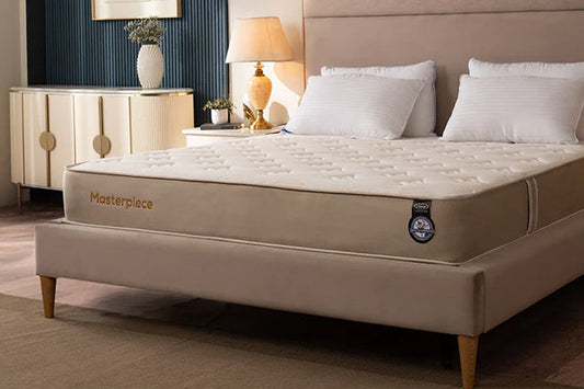 Sleep Health: The Cornerstone of a Balanced and Productive Life