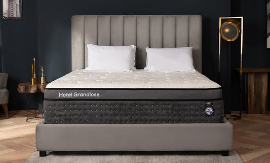Master Crest Spring Buy Premium Spring Mattress in UAE – Master Celeste UAE